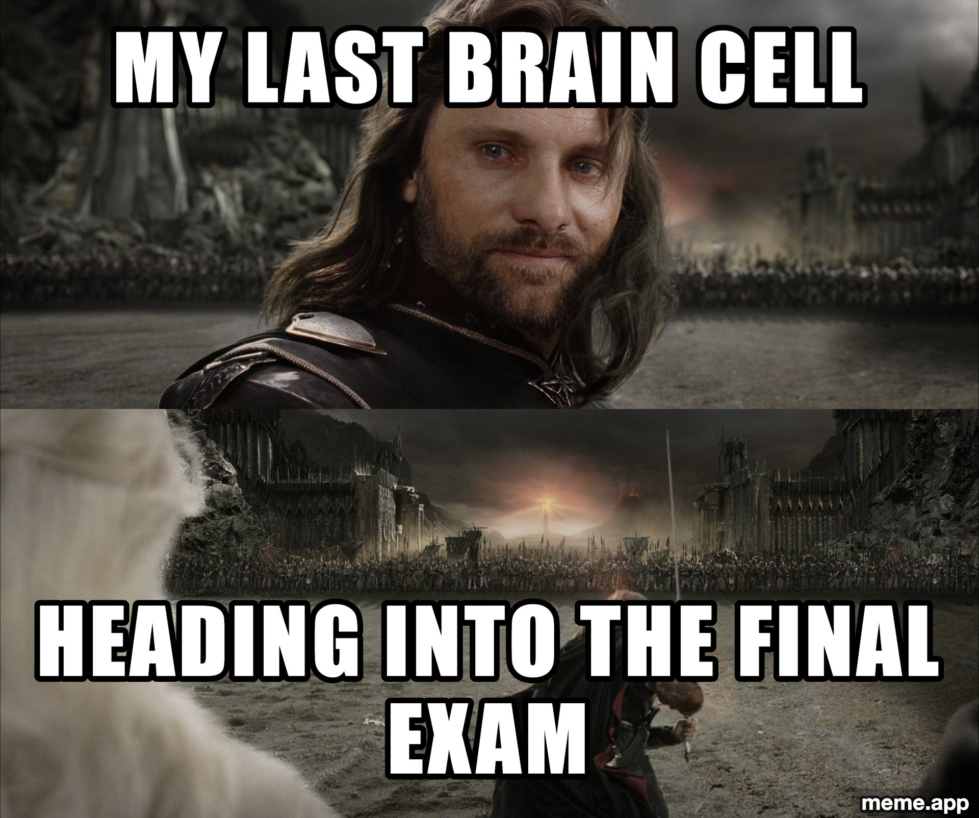 Aragorn Black Gate meme about the last brain cell heading into a final exam