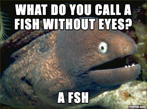Bad Joke Eel meme asking what you call a fish without eyes and answering a fsh