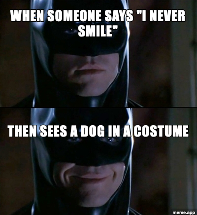 Batman Smiles two-panel meme where Batman smiles at a dog in a costume
