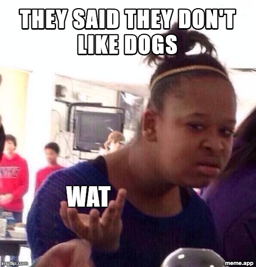 Black Girl Wat captioned meme reacting to someone who doesn't like dogs