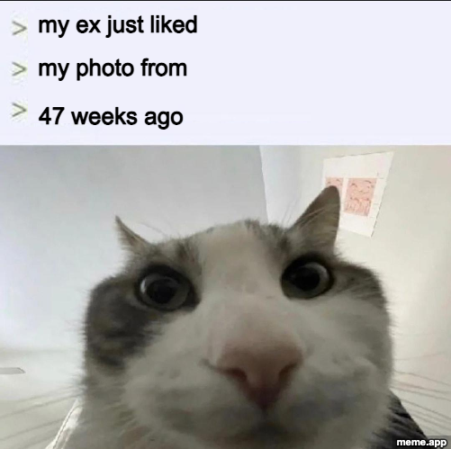 Cat Looks Inside meme about an ex liking a photo from 47 weeks ago