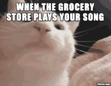 Animated Cat Vibing GIF meme about the grocery store playing your song