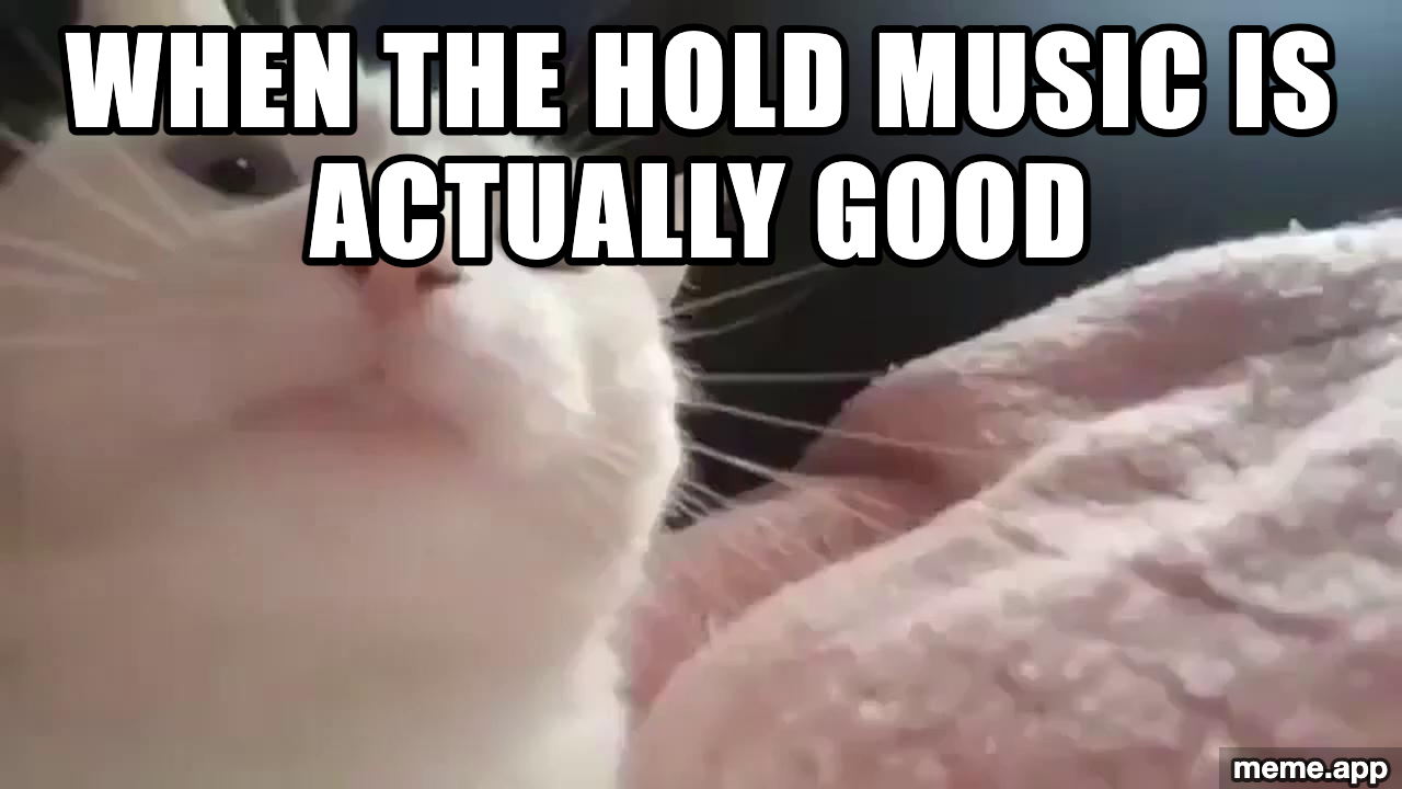 Cat Vibing meme about the hold music actually being good