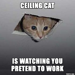 Ceiling Cat meme about being watched while pretending to work