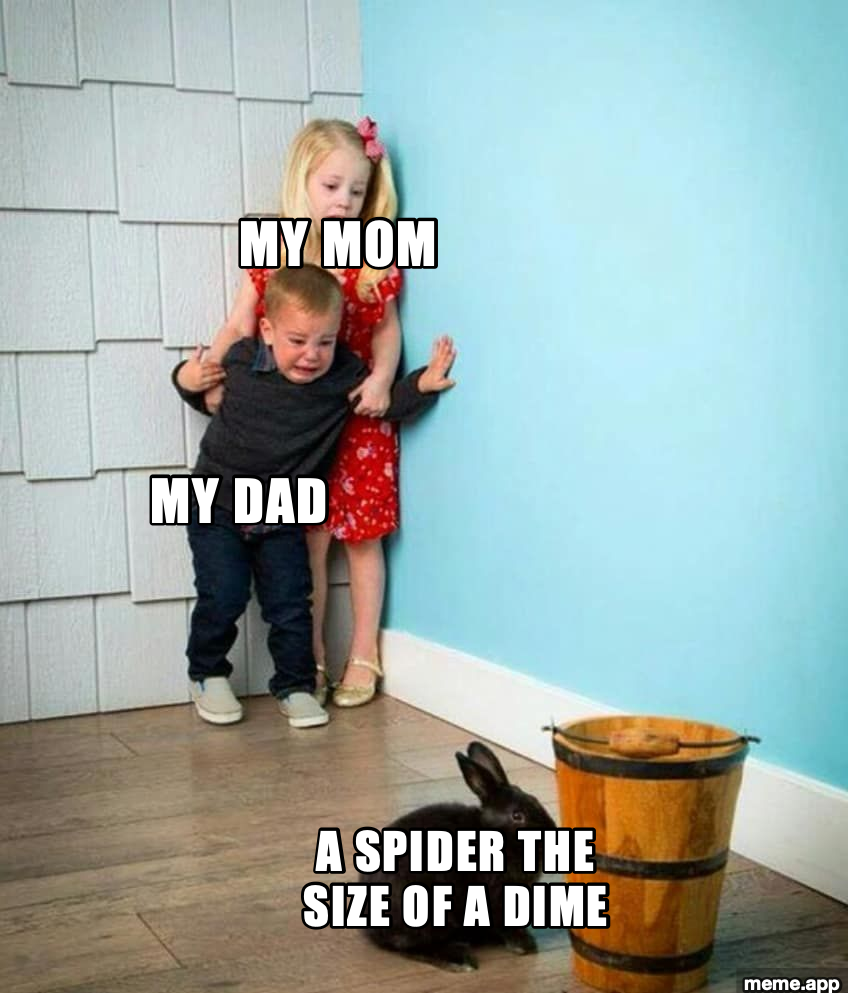 Children Scared Of Rabbit meme about parents being terrified of a tiny spider