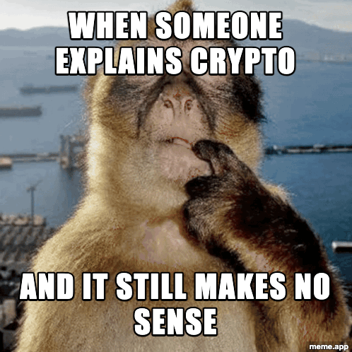 Confused Monkey GIF about crypto explanations making no sense