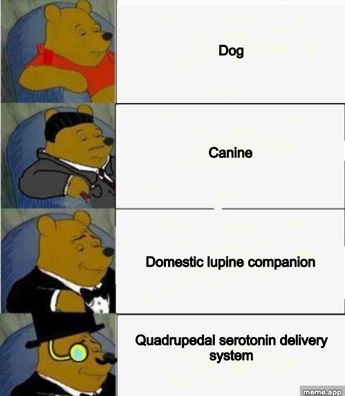 Fancy Pooh 4-Panel meme escalating from dog to quadrupedal serotonin delivery system