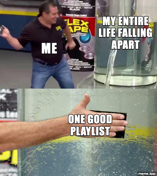 Flex Tape meme about using one good playlist to fix your entire life falling apart