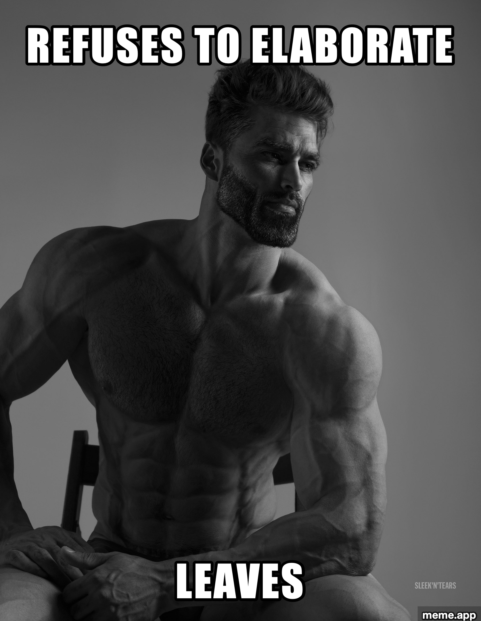 Giga Chad black and white portrait with caption "Refuses to Elaborate / Leaves"