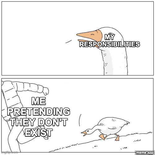 Goose Chase meme about responsibilities chasing you while you pretend they don't exist