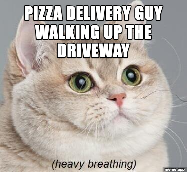 Heavy Breathing Cat meme about seeing the pizza delivery guy walking up the driveway