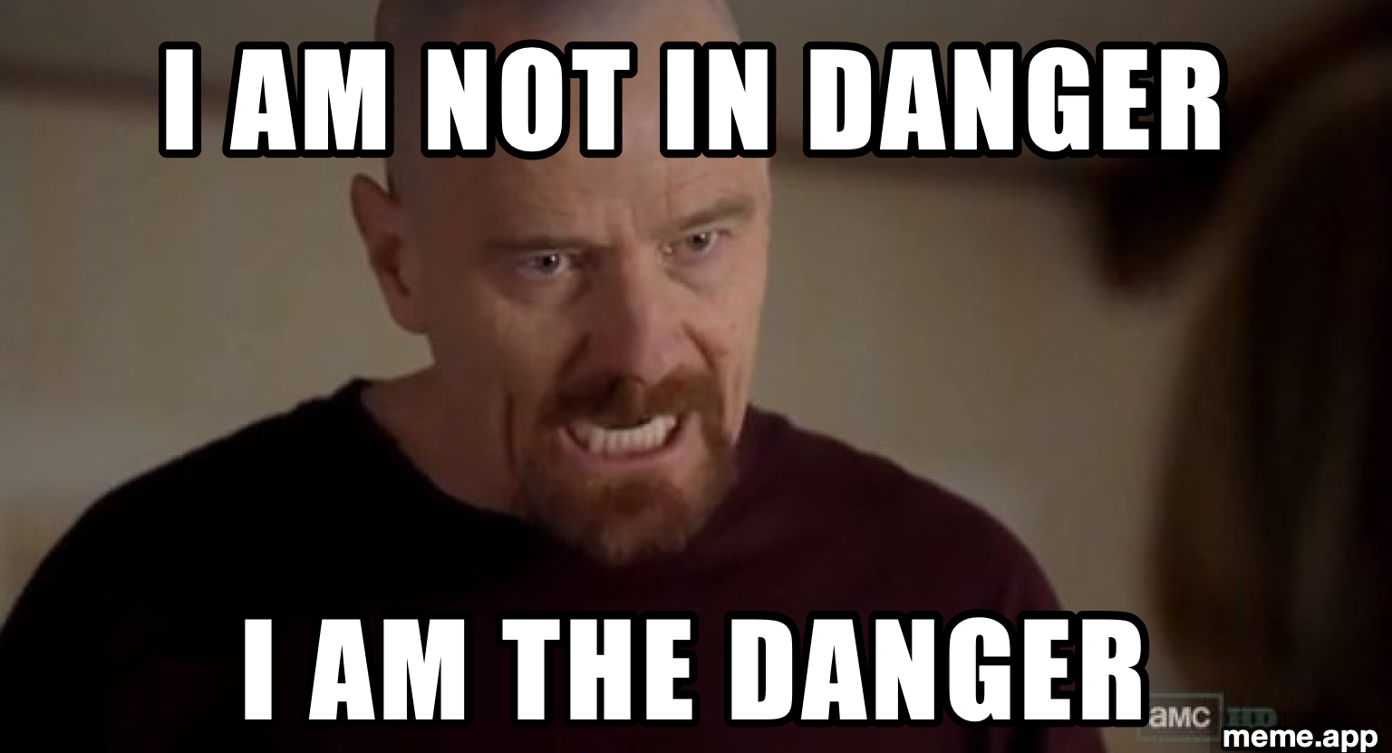 I Am The One Who Knocks meme with Walter White declaring "I am not in danger, I am the danger"