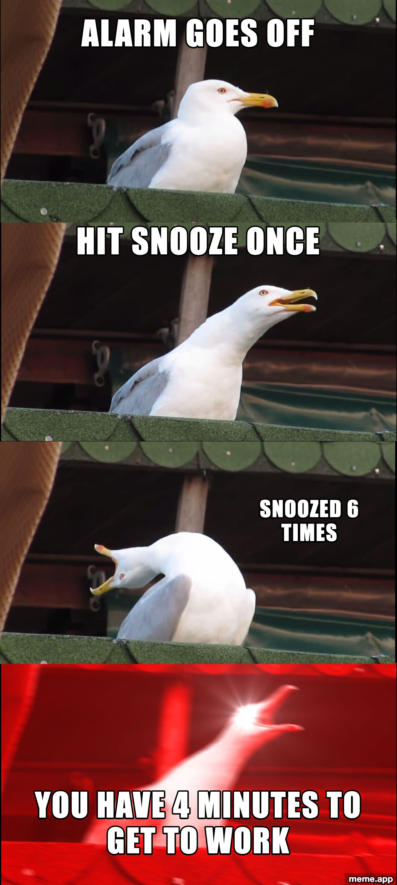 Inhaling Seagull meme about hitting snooze too many times and having 4 minutes to get to work