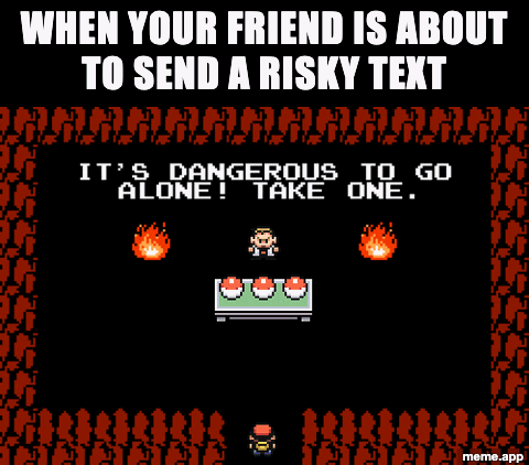 Zelda dangerous to go alone GIF about a friend sending a risky text