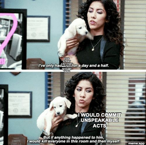 Rosa Diaz from Brooklyn Nine-Nine holding a puppy. Top panel captioned: THIS STRAY CAT THAT WALKED INTO MY YARD. Bottom panel: I WOULD COMMIT UNSPEAKABLE ACTS