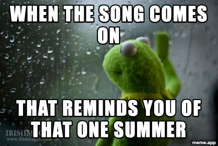 Kermit Window meme about hearing a song that reminds you of a specific summer