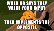 Lion King Yeet GIF meme: Rafiki raises Simba then yeets him, captioned about HR ignoring your input