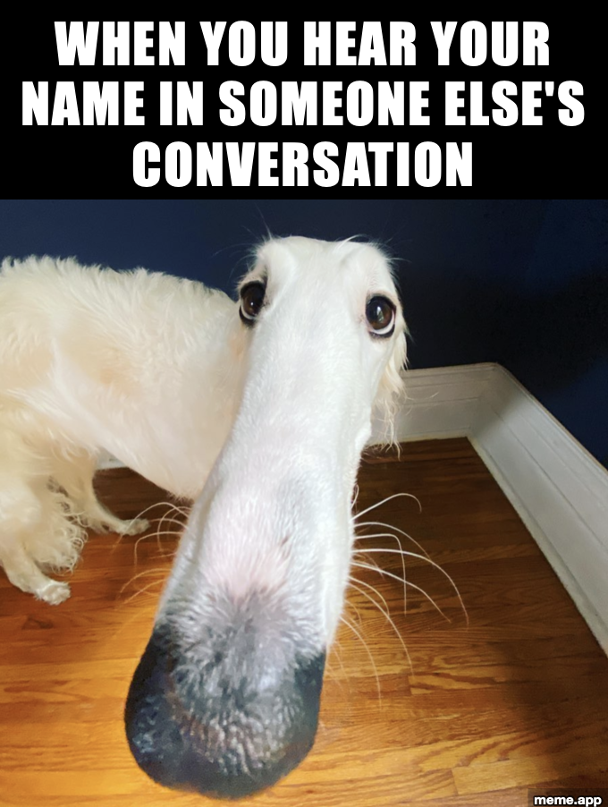 Long Nose Dog meme about hearing your name in someone else's conversation