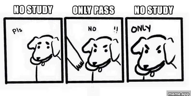 No Take Only Throw meme: dog wants to pass the exam but refuses to study