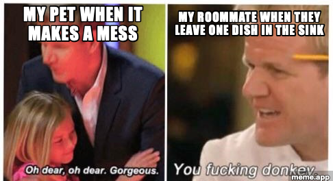 Gordon Ramsay two-panel meme about being sweet with pets but furious at roommates