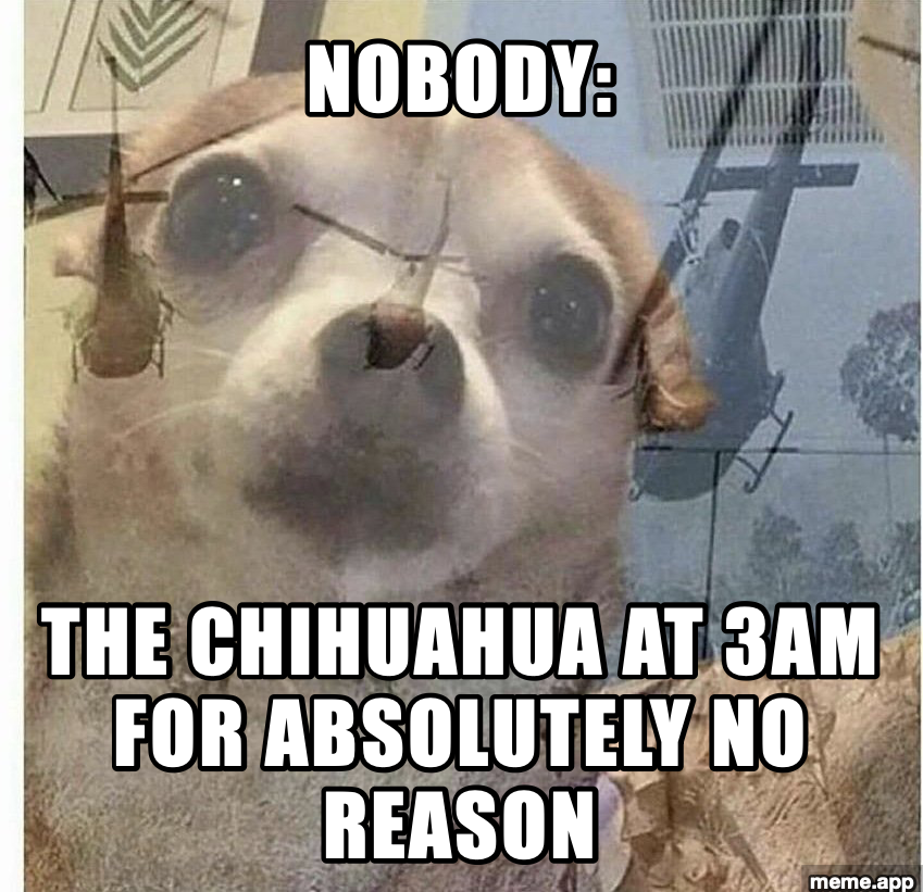 PTSD Chihuahua meme about the chihuahua going off at 3AM for absolutely no reason