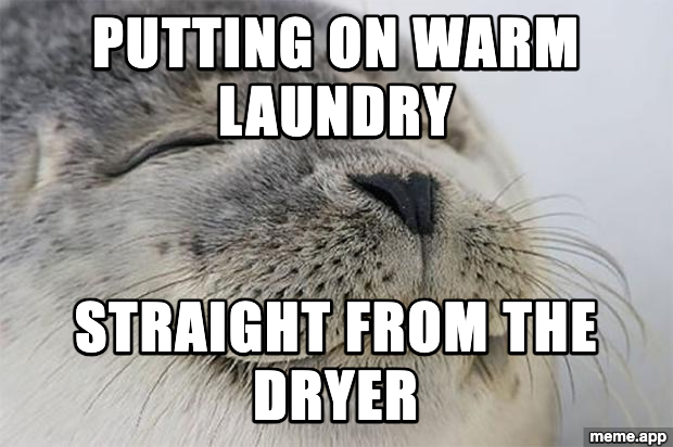 Satisfied Seal meme about putting on warm laundry straight from the dryer