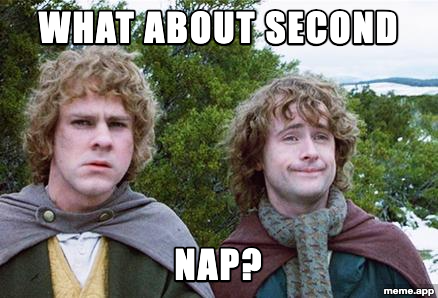 Second Breakfast meme asking about a second nap