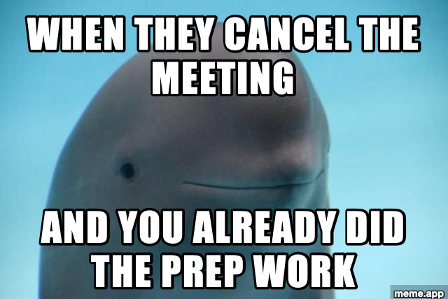 Smiling Dolphin meme about a meeting getting cancelled after you already did the prep work