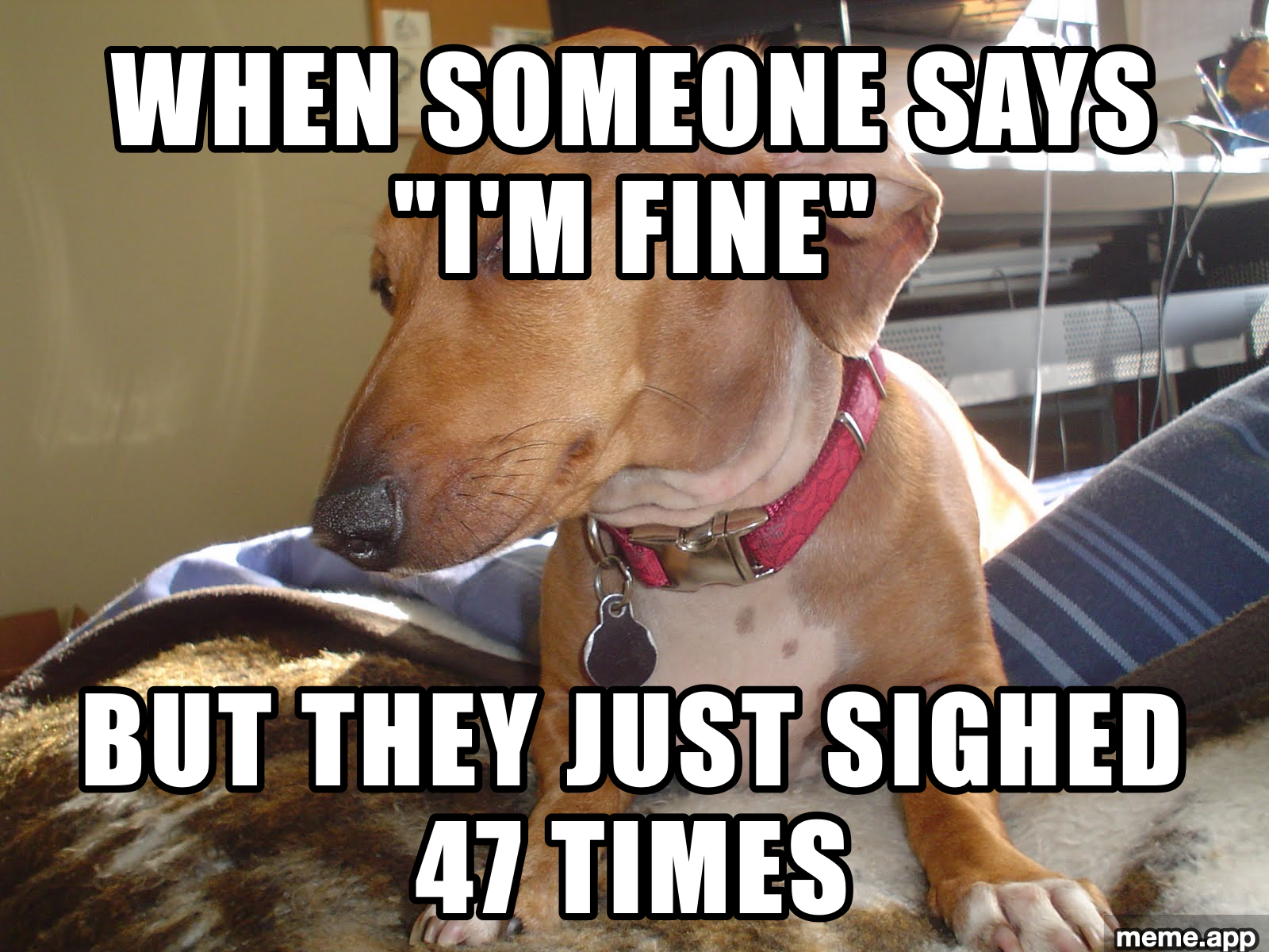 Suspicious dog meme about someone saying they're fine but sighing repeatedly