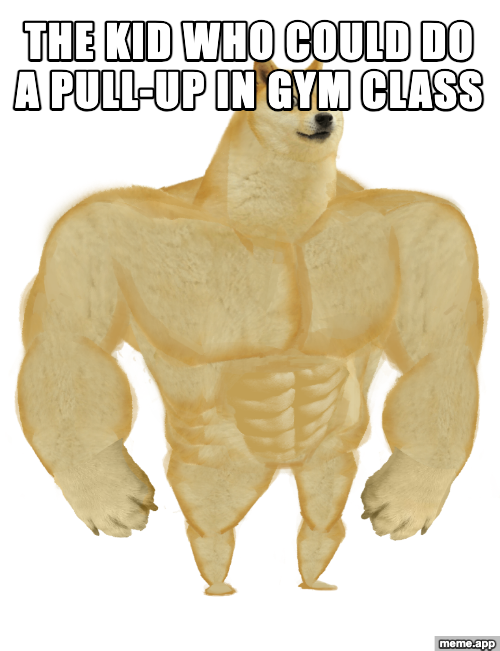 Swole Doge meme about the kid in gym class who could actually do a pull-up