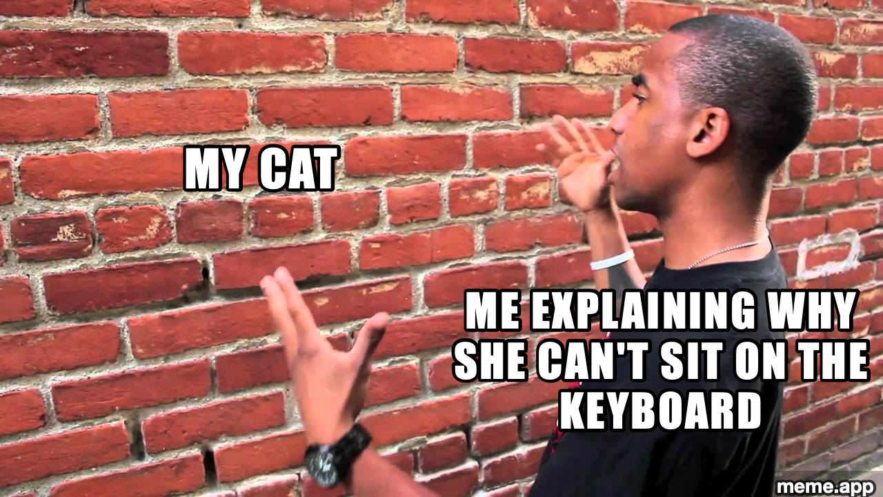 Talking To Wall meme about explaining to a cat why she can't sit on the keyboard