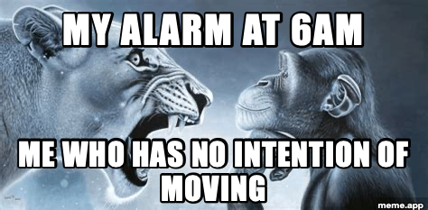 Tiger Yell At Pondering Monkey meme about an alarm clock and someone who has no intention of getting up