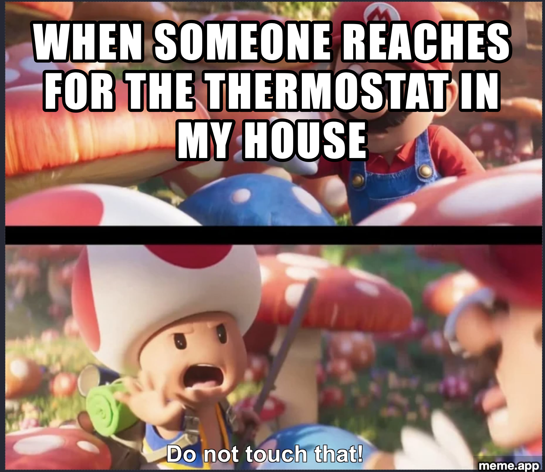 Toad Do Not Touch That meme warning someone not to touch the thermostat