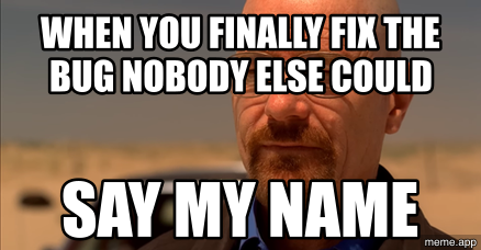 Walter White Say My Name meme about fixing a bug nobody else could solve