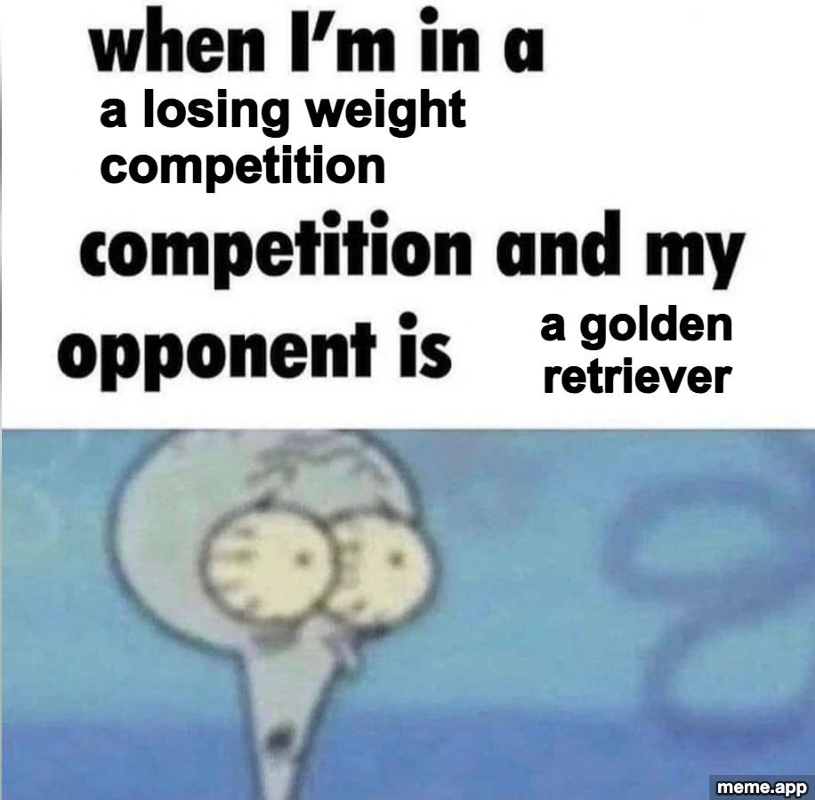 When I'm In A Competition meme about losing a weight loss competition to a golden retriever