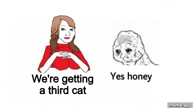 Yes Honey captioned meme about being told they are getting a third cat