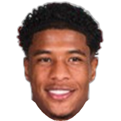 Ryan Flamingo