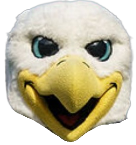 Swoop