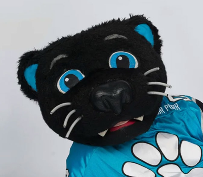 Sir Purr