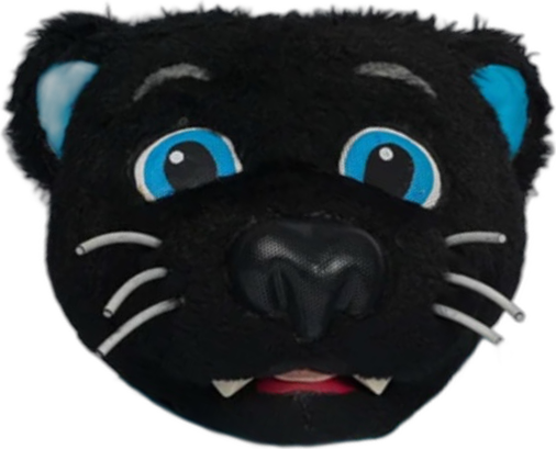 Sir Purr