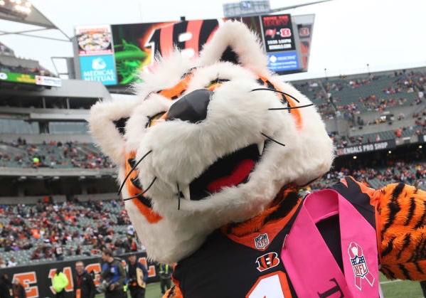 Who Dey