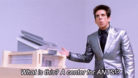 A Center For Ants (GIF) meme template - An animated GIF from Zoolander showing Derek Zoolander reacting in real-time to the tiny scale model. Ben Stiller's face cycl