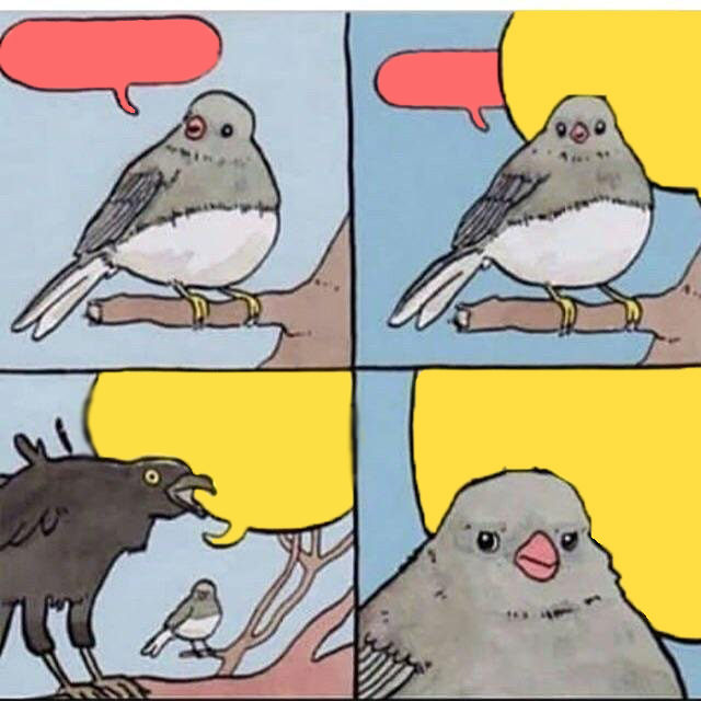 Annoyed Bird meme template - Four panels. Panel 1: a small grey bird on a branch with a red speech bubble above it. Panel 2: the same bird with another re
