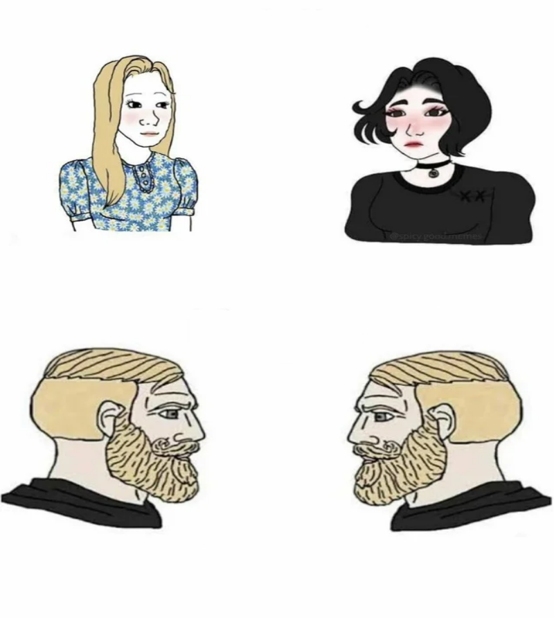 Boys vs Girls meme template