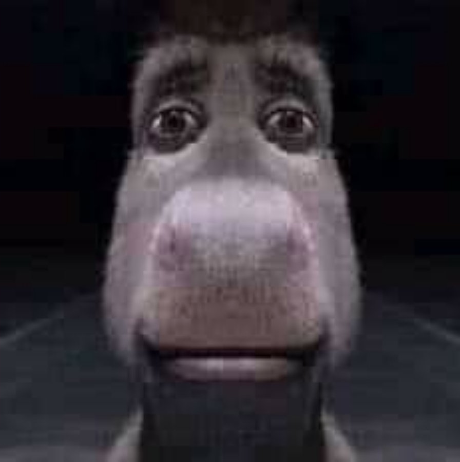 Donkey Staring meme template