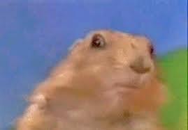 Dramatic Chipmunk meme template