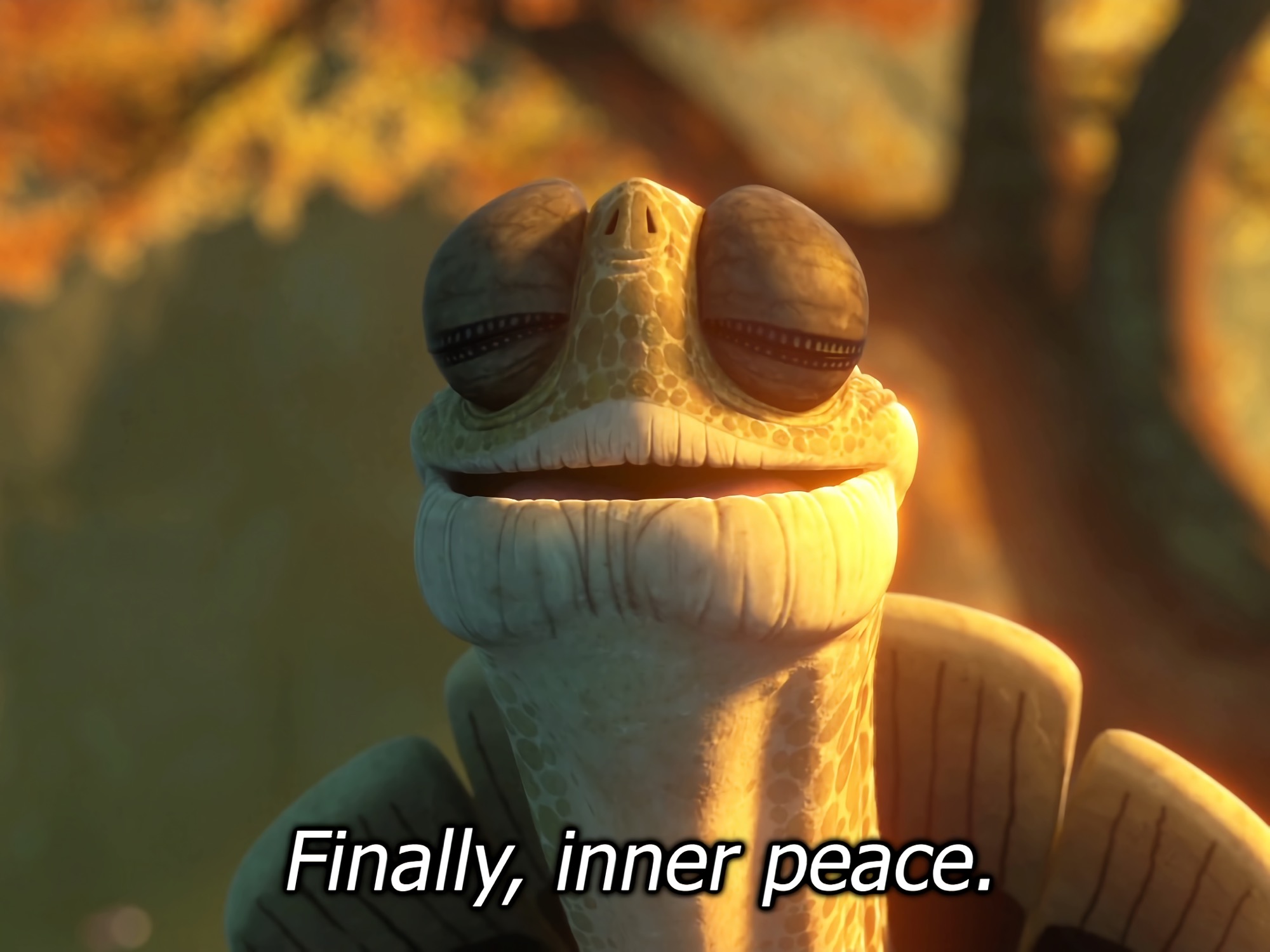 Finally Inner Peace meme template