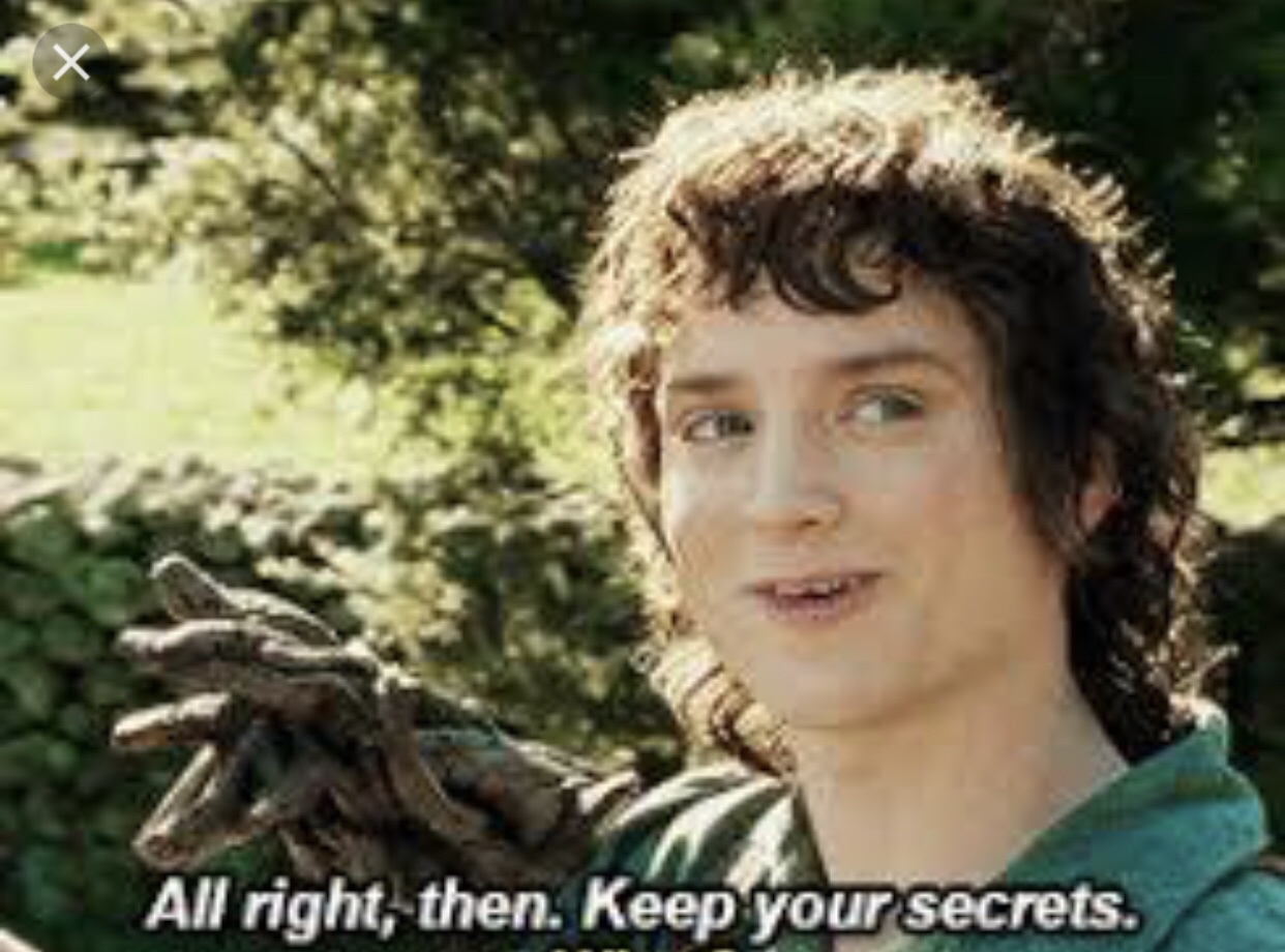 Frodo Keep Your Secrets With Caption meme template
