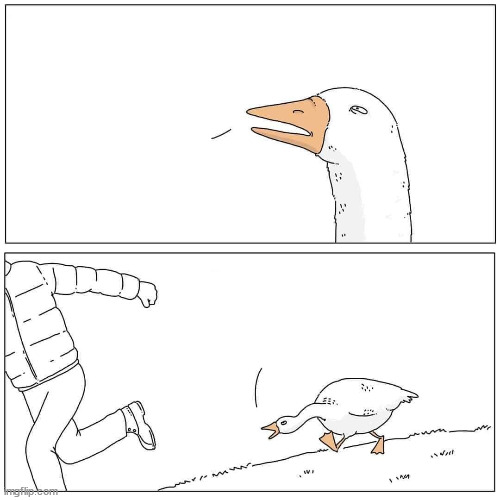 Goose Chase meme template