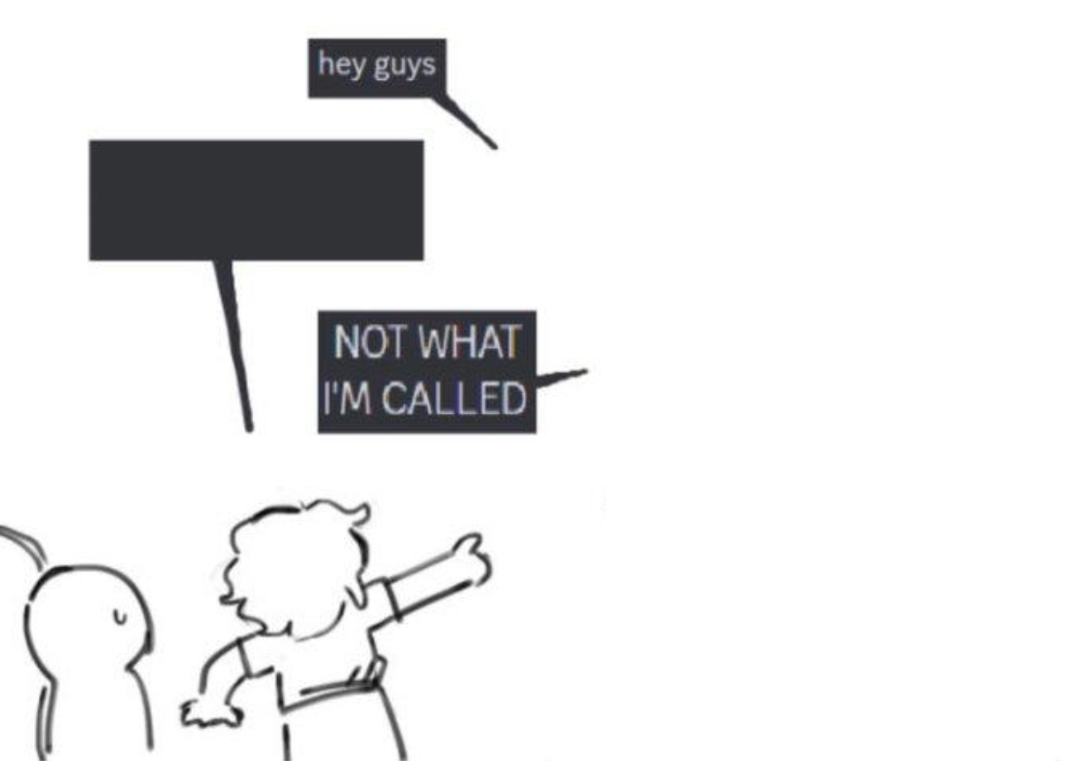 Hey Guys / NOT WHAT I'M CALLED meme template